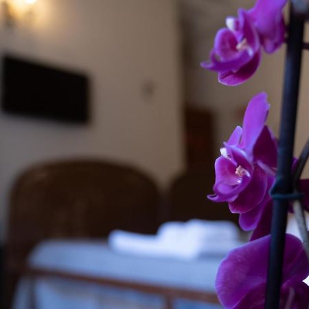 Citta Di Castello Rooms Dış mekan fotoğraf